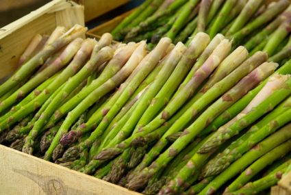 asparagus pelancar asi dasterumah